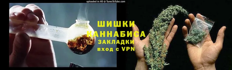 Бошки марихуана SATIVA & INDICA  нарко площадка клад  Заречный  хочу наркоту 